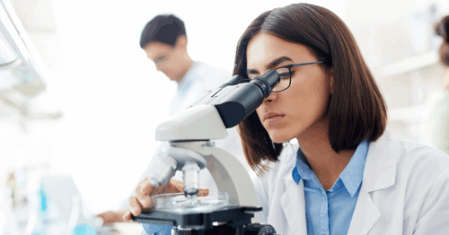 Brain-Gain statt Brain-Drain: Wie Forschungseinrichtungen Talente halten